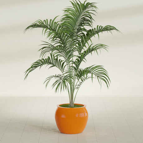 Shanghai Fishbowl fiberglass planter in Gloss Tangerine, shown planted, in a sunlit interior