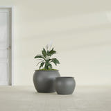 Shanghai Fishbowl fiberglass planter in Matte Gunmetal, size range, in a sunlit interior