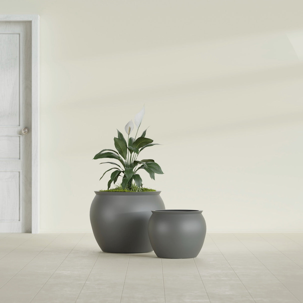 Shanghai Fishbowl fiberglass planter in Matte Gunmetal, size range, in a sunlit interior