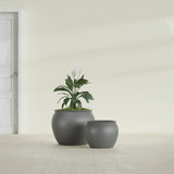 Shanghai Fishbowl fiberglass planter in Matte Gunmetal, size range, in a sunlit interior