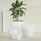 Wannsee Round fiberglass planter in Matte Bright White, size range, in a sunlit interior