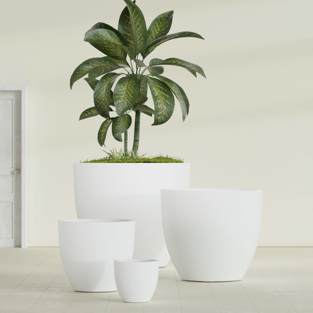 Wannsee Round fiberglass planter in Matte Bright White, size range, in a sunlit interior