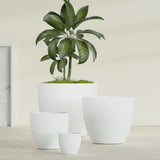 Wannsee Round fiberglass planter in Matte Bright White, size range, in a sunlit interior