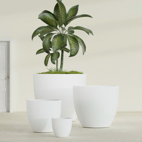 Wannsee Round fiberglass planter in Matte Bright White, size range, in a sunlit interior