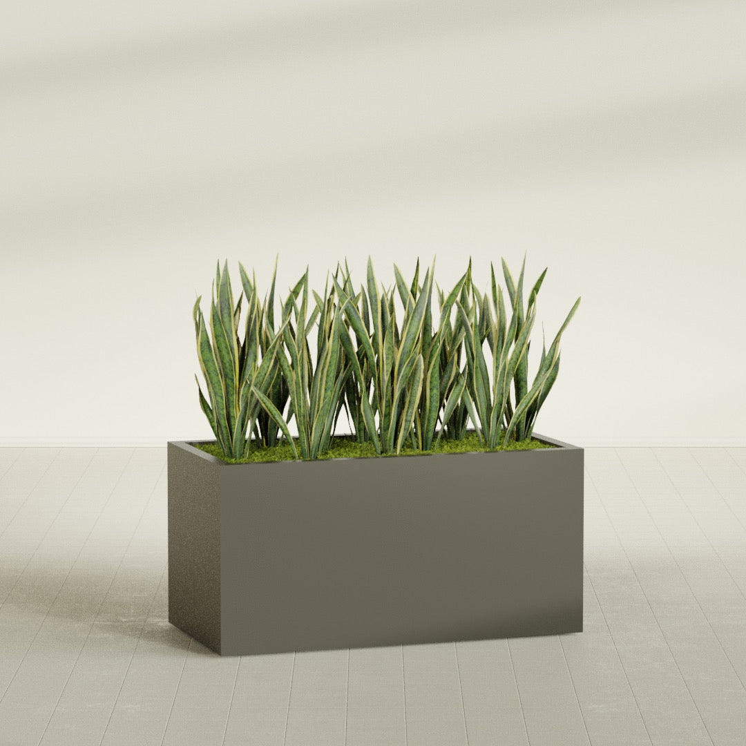 Granada fiberglass planter in Matte Bronze, shown planted, in a sunlit interior