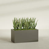 Granada fiberglass planter in Matte Bronze, shown planted, in a sunlit interior