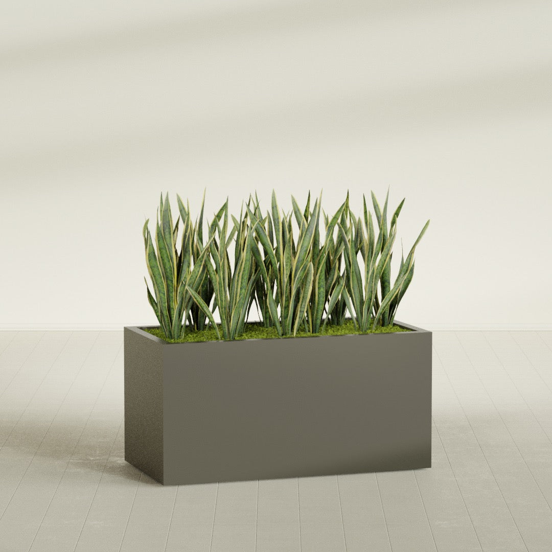 Granada fiberglass planter in Matte Bronze, shown planted, in a sunlit interior