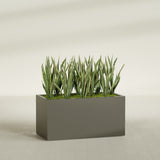 Granada fiberglass planter in Matte Bronze, shown planted, in a sunlit interior