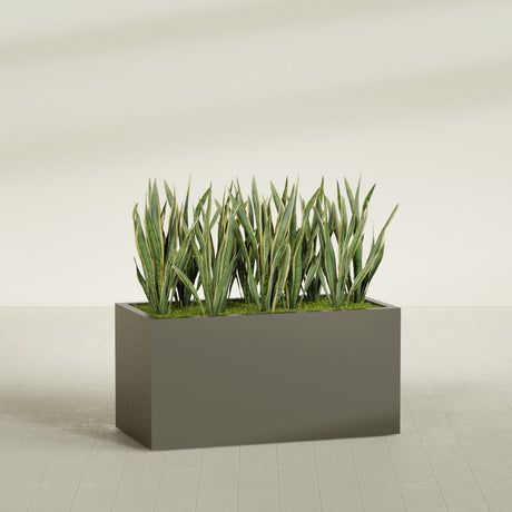 Granada fiberglass planter in Matte Bronze, shown planted, in a sunlit interior