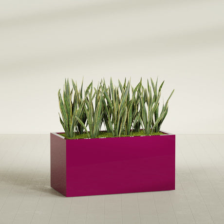 Granada Rectangular fiberglass planter in Gloss Eggplant, planted, in a sunlit interior