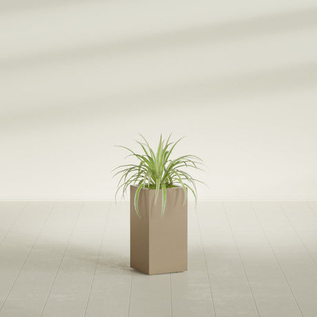 Hollywood Corner fiberglass planter in Gloss Metallic Gold, shown planted, in a sunlit interior