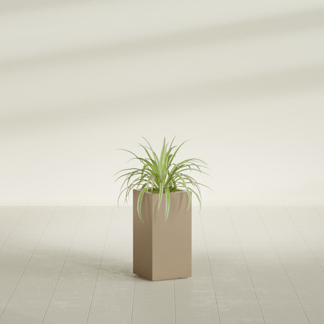 Hollywood Narrow Rectangular fiberglass planter in Gloss Metallic Gold, shown planted, in a sunlit interior