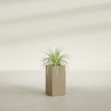Hollywood Narrow Rectangular fiberglass planter in Gloss Metallic Gold, shown planted, in a sunlit interior