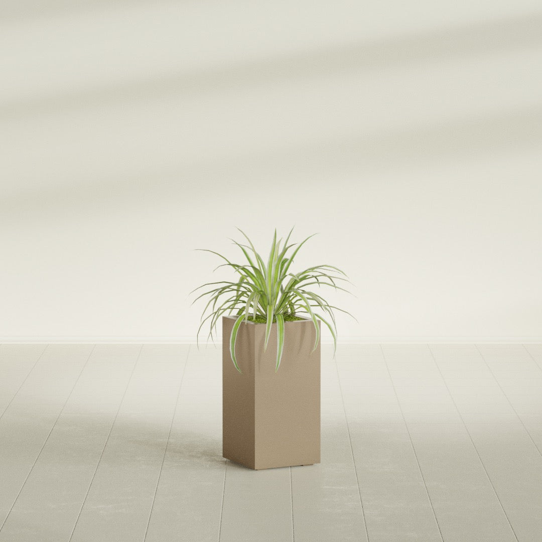 Hollywood Narrow Rectangular fiberglass planter in Gloss Metallic Gold, shown planted, in a sunlit interior