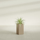 Hollywood Narrow Rectangular fiberglass planter in Gloss Metallic Gold, shown planted, in a sunlit interior
