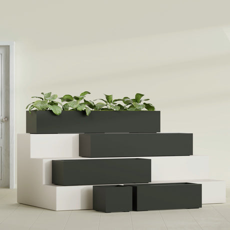 Cuba Low Rectangular fiberglass planter in Matte Charcoal, size range, in a sunlit interior