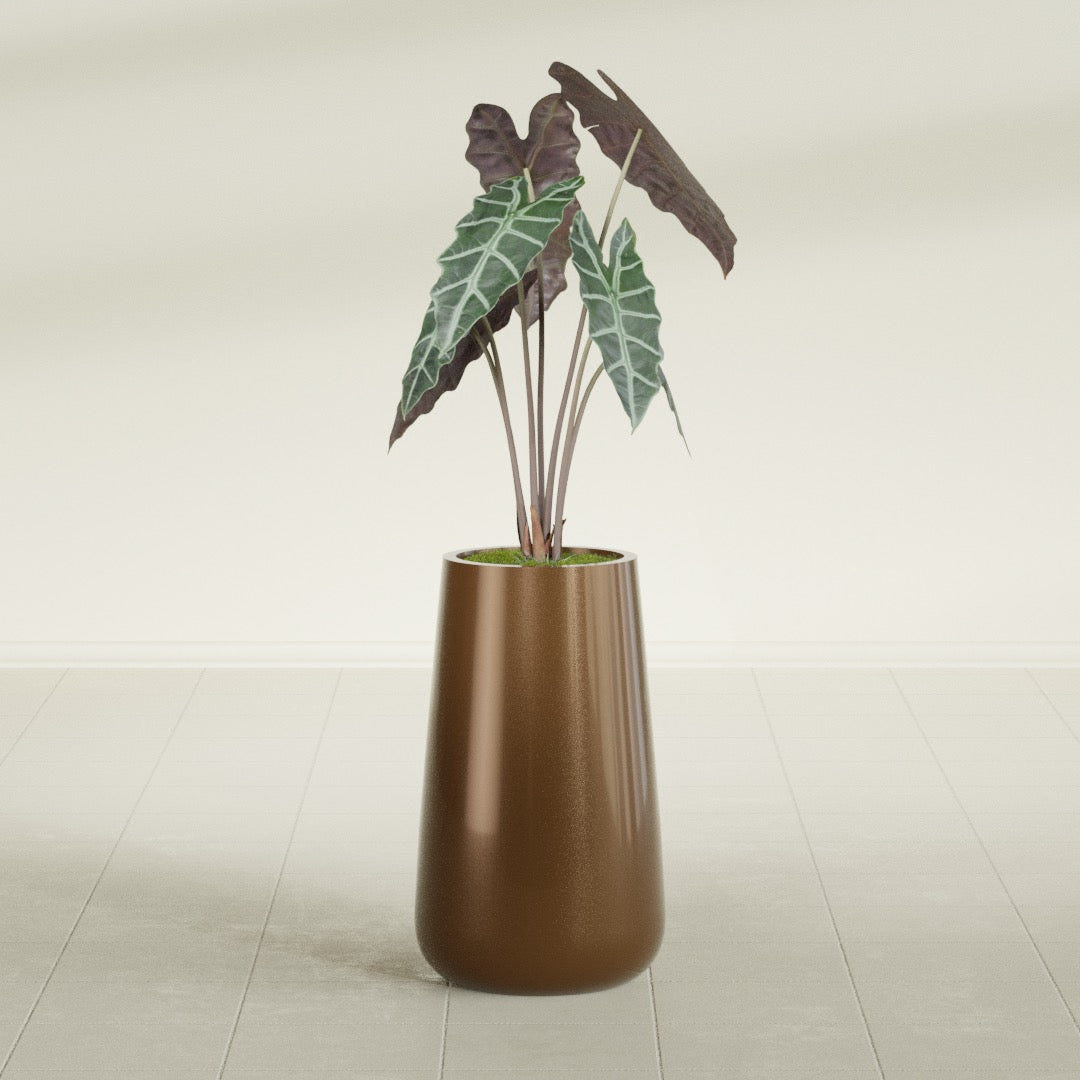 Saigon Tapered Round fiberglass planter in Metallic Bronze, shown planted, in a sunlit interior