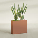 Perth Rectangular fiberglass planter in Matte Terra Cotta, shown planted, in a sunlit interior