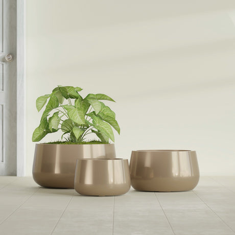 Short Hayden Bowl fiberglass planter in Gloss Metallic Gold, size range, in a sunlit interior