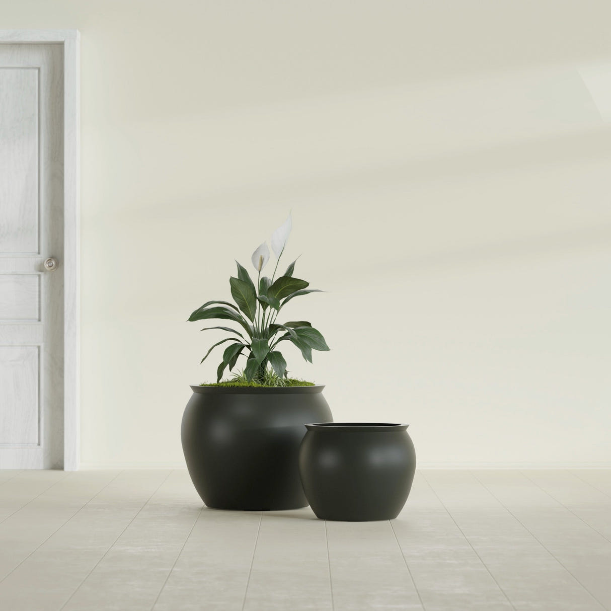 Shanghai Fishbowl fiberglass planter in Matte Charcoal, size range, in a sunlit interior