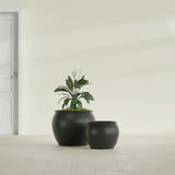 Shanghai Fishbowl fiberglass planter in Matte Charcoal, size range, in a sunlit interior