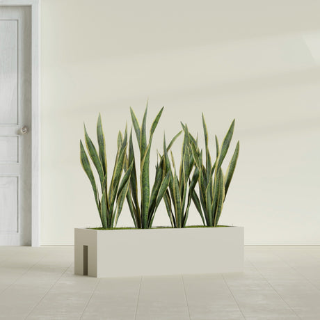 Tiergarden Railing fiberglass planter in Satin Beige, shown planted, in a sunlit interior
