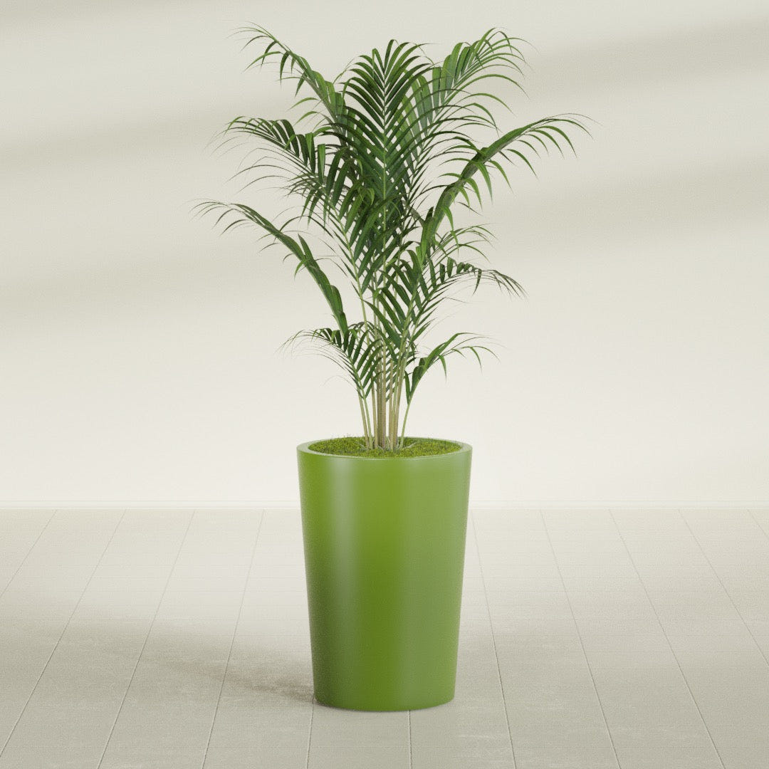Tegel Round Tapered fiberglass planter in Satin Green, shown planted, in a sunlit interior