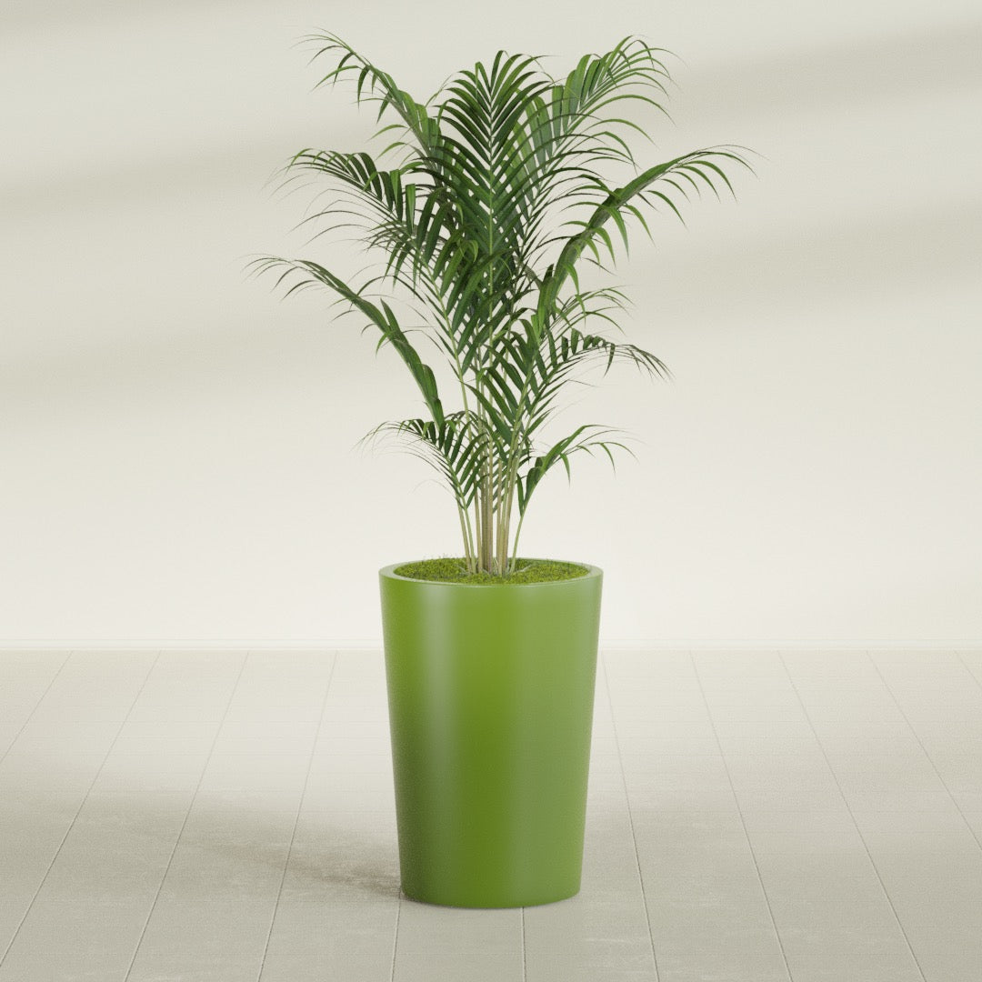 Tegel Round Tapered fiberglass planter in Satin Green, shown planted, in a sunlit interior