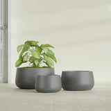 Short Hayden Bowl fiberglass planter in Matte Gunmetal, size range, in a sunlit interior