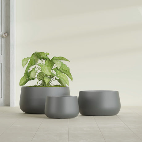 Short Hayden Bowl fiberglass planter in Matte Gunmetal, size range, in a sunlit interior