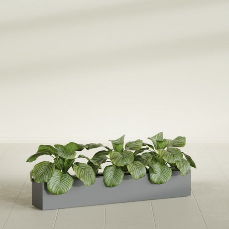 Salon Box fiberglass planter in Matte Gunmetal, shown planted, in a sunlit interior
