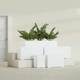 Tolga Rectangular fiberglass planter in Gloss Bright White, size range, in a sunlit interior