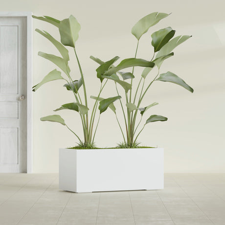 Badalona Rectangular fiberglass planter in Matte Bright White, shown planted, in a sunlit interior