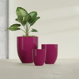 Valencia Tapered Round fiberglass planter in Gloss Eggplant, size range, in a sunlit interior