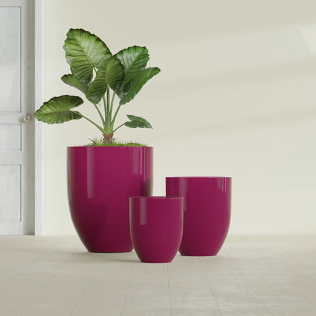 Valencia Tapered Round fiberglass planter in Gloss Eggplant, size range, in a sunlit interior