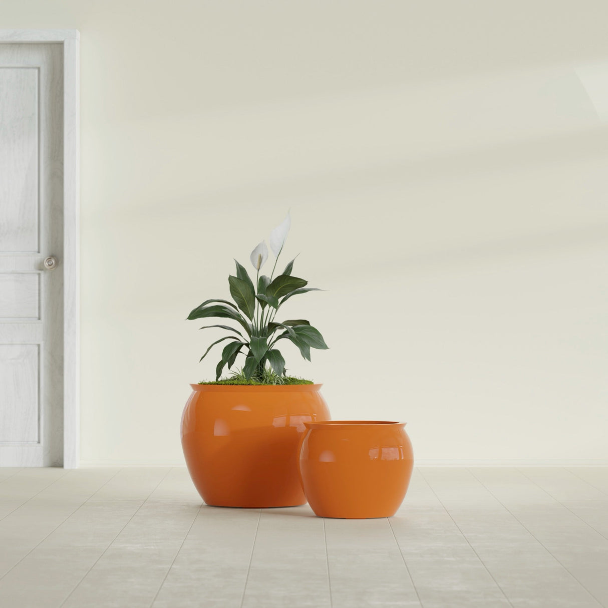 Shanghai Fishbowl fiberglass planter in Gloss Tangerine, size range, in a sunlit interior