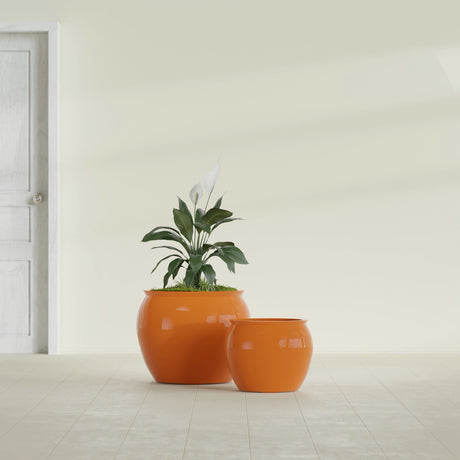 Shanghai Fishbowl fiberglass planter in Gloss Tangerine, size range, in a sunlit interior