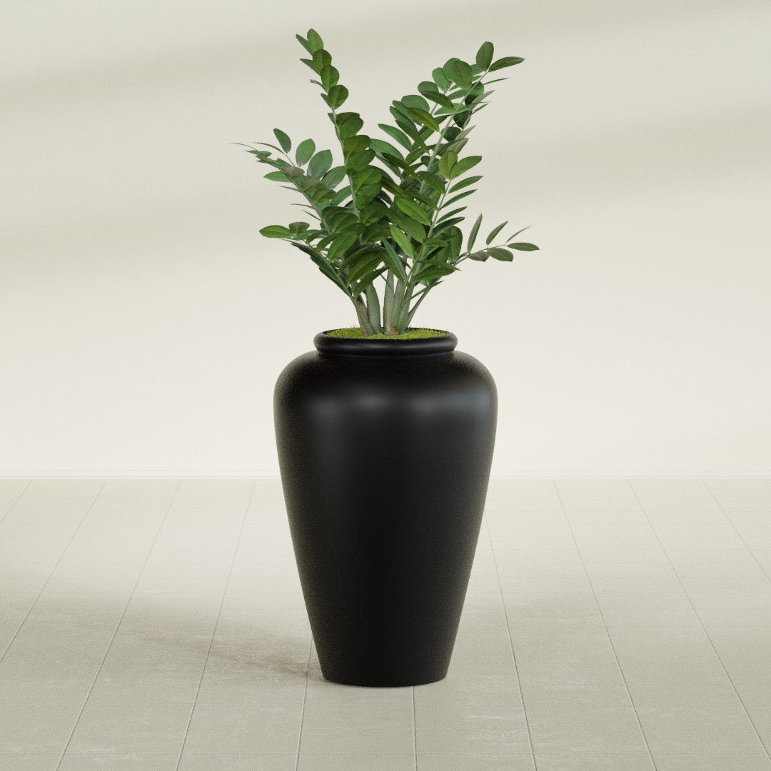 Barà Jar fiberglass planter in Matte Black, shown planted, in a sunlit interior