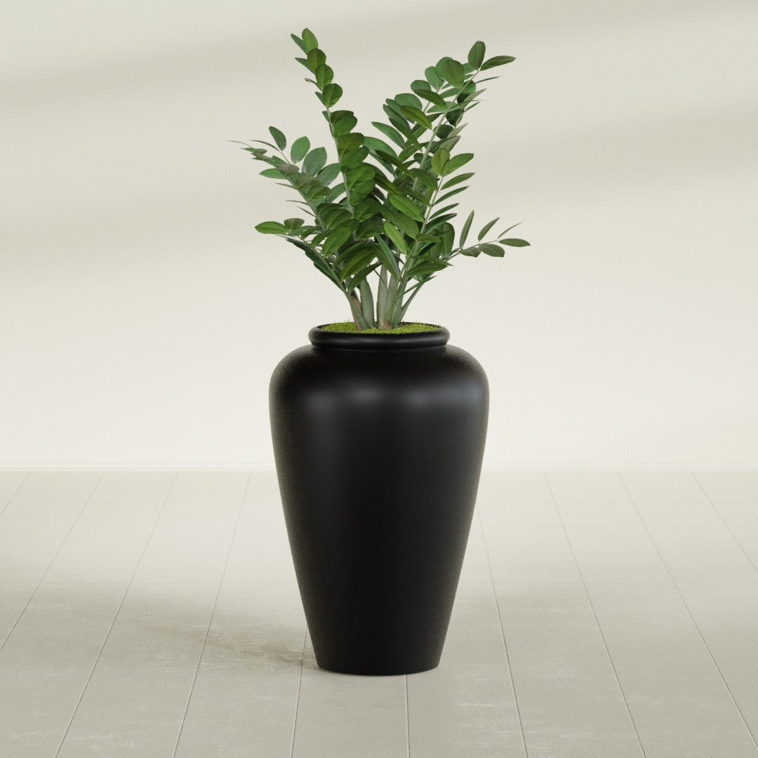 Barà Jar fiberglass planter in Matte Black, shown planted, in a sunlit interior