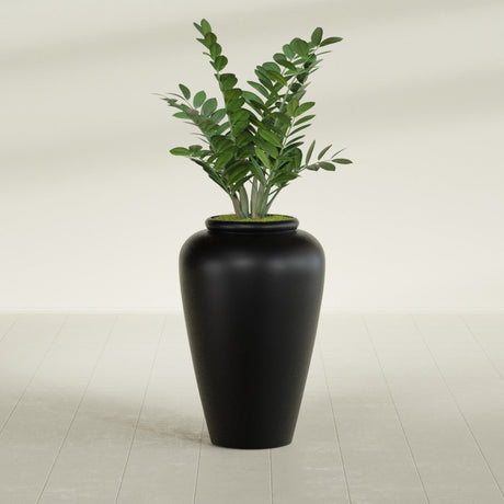 Barà Jar fiberglass planter in Matte Black, shown planted, in a sunlit interior