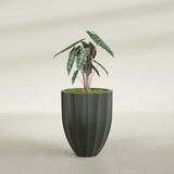 Alicante Fluted fiberglass planter in Matte Charcoal, shown planted, in a sunlit interior