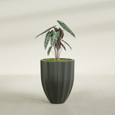 Alicante Fluted fiberglass planter in Matte Charcoal, shown planted, in a sunlit interior
