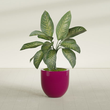 Alzira Bowl fiberglass planter in Gloss Eggplant, shown planted, in a sunlit interior