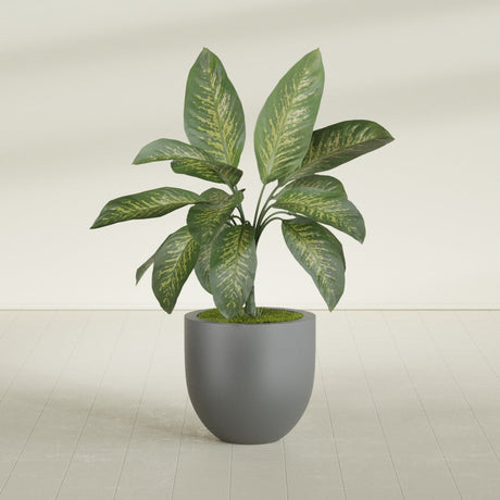 Alzira Bowl fiberglass planter in Matte Gunmetal, shown planted, in a sunlit interior
