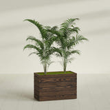 Siena planter in textured walnut, shown planted, in a sunlit interior