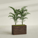 Siena planter in textured walnut, shown planted, in a sunlit interior