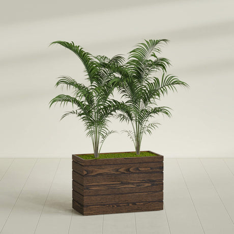 Siena planter in textured walnut, shown planted, in a sunlit interior