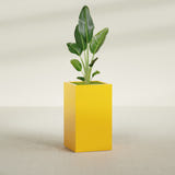 Darwin Rectangular fiberglass planter in Gloss Saffron, shown planted, in a sunlit interior