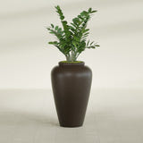 Barà Jar fiberglass planter in Matte Dark Brown, shown planted, in a sunlit interior