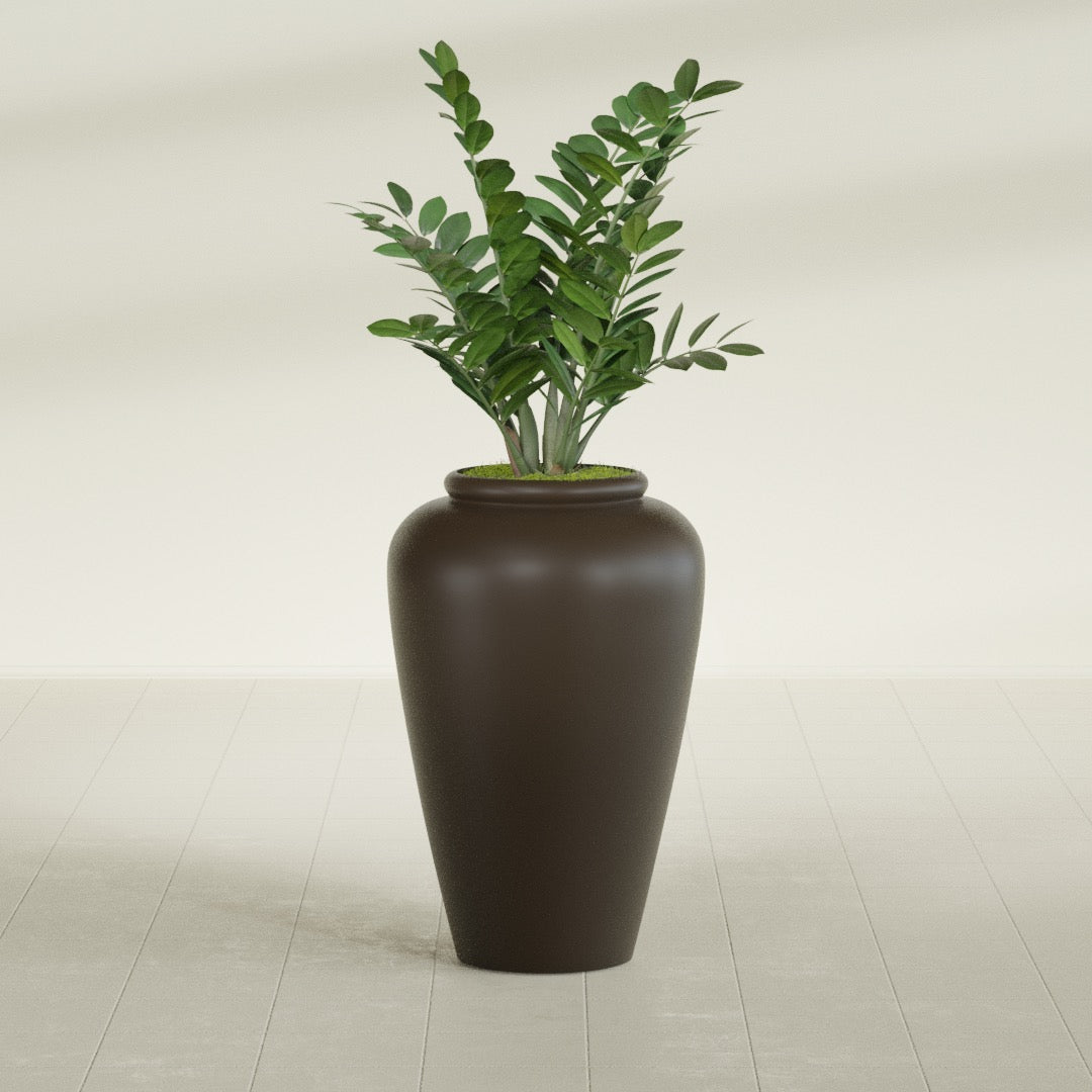 Barà Jar fiberglass planter in Matte Dark Brown, shown planted, in a sunlit interior